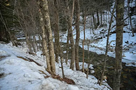 42 Comes Road Hancock VT 05748