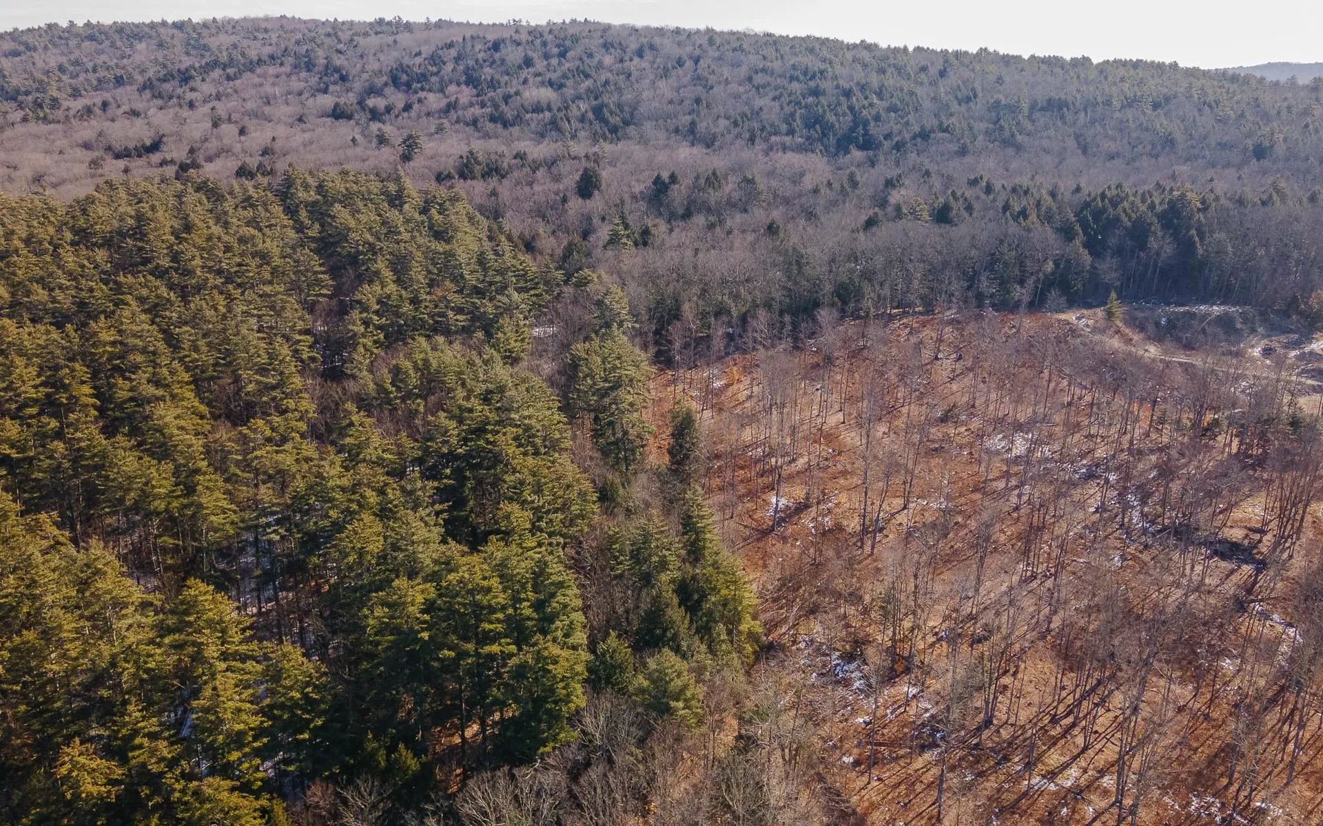 00 Hill Road Alstead NH 03602