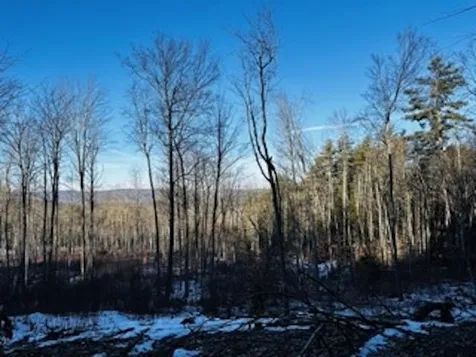 00 Hill Road Alstead NH 03602