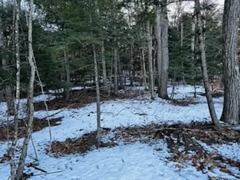 00 Hill Road Alstead NH 03602