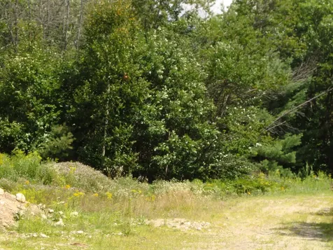 0 Route 11 Sunapee NH 03782