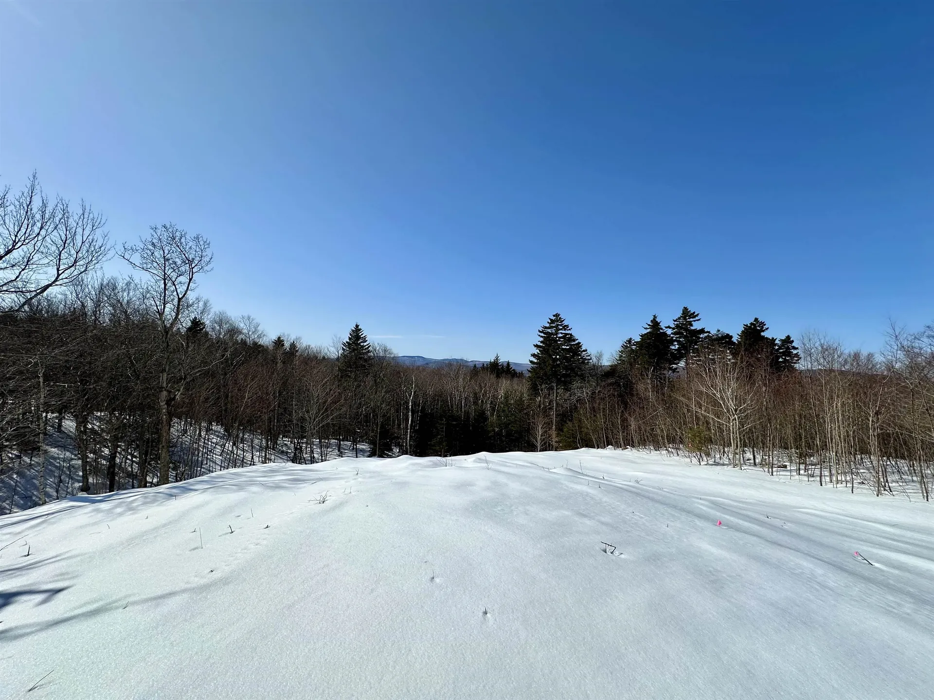 Lot 49 Andover Ridge Road Andover VT 05143