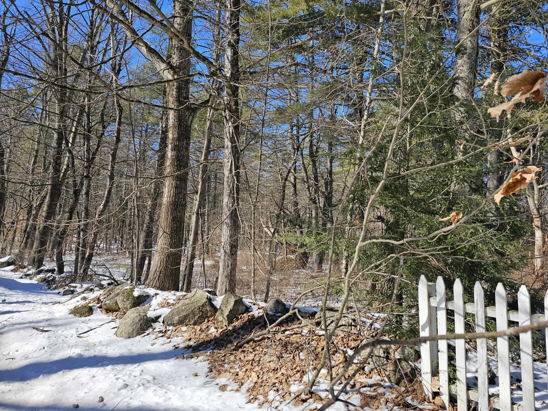 238 Old Greenfield Road Peterborough NH 03458