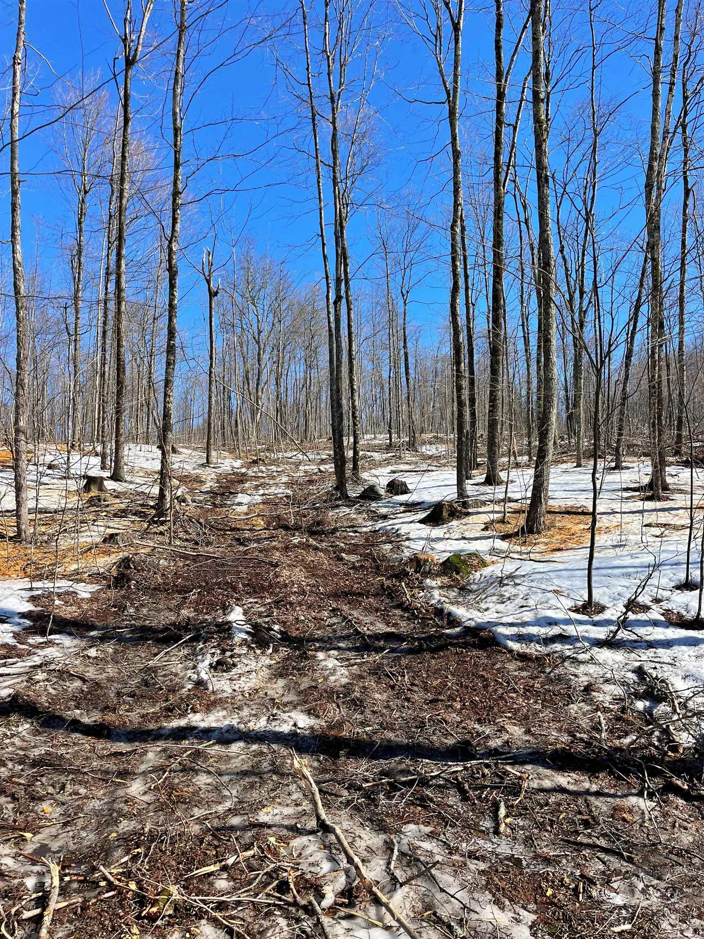 0 Crossroad Topsham VT 05076