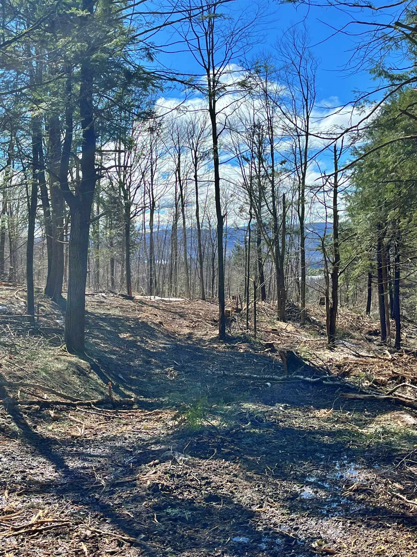 0 Crossroad Topsham VT 05076