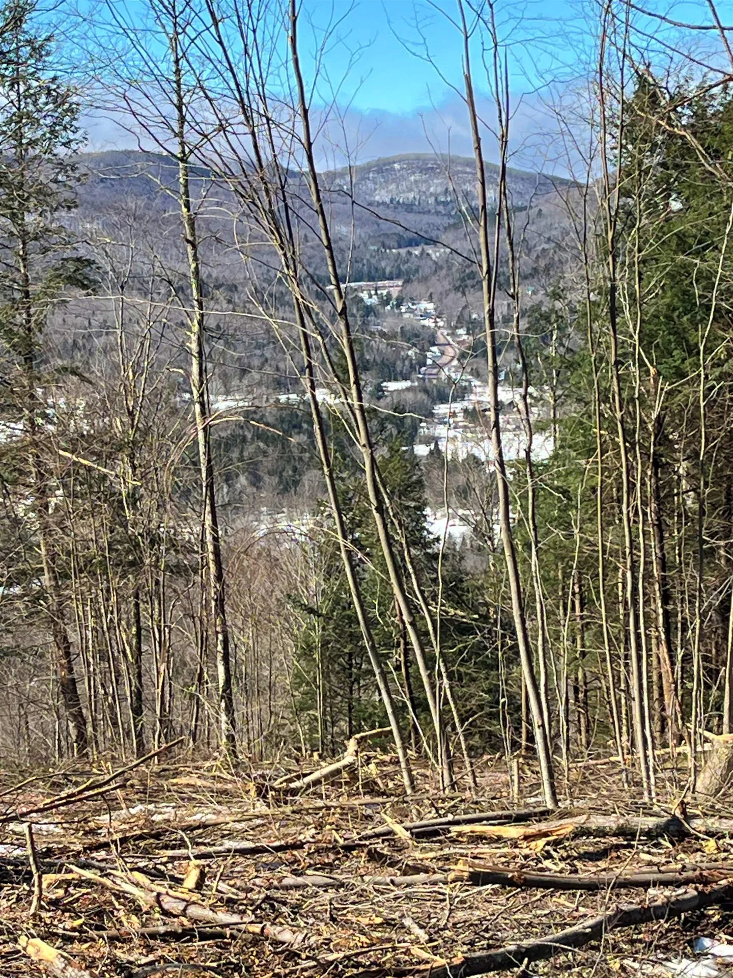 0 Crossroad Topsham VT 05076