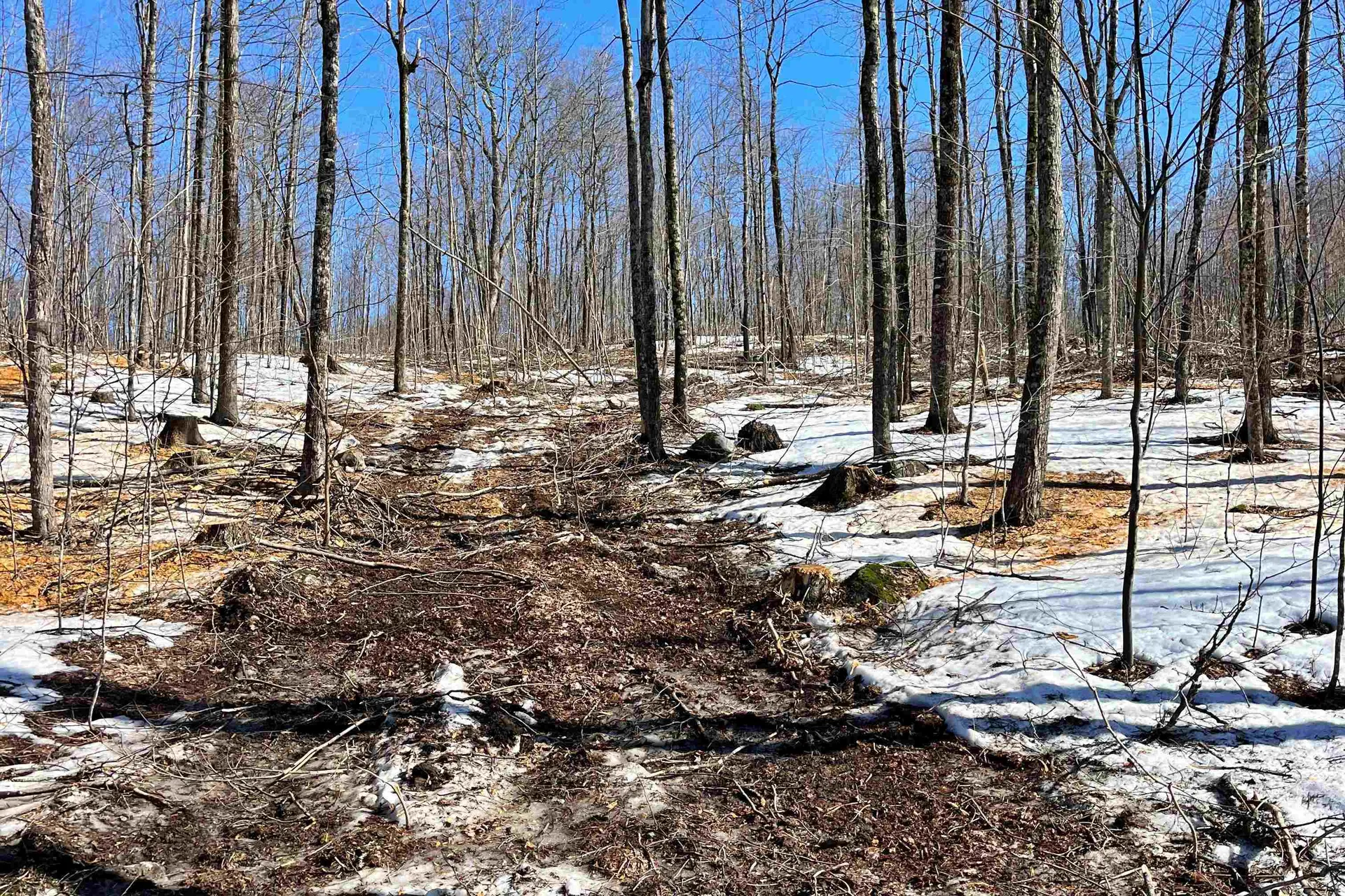 0 Crossroad Topsham VT 05076