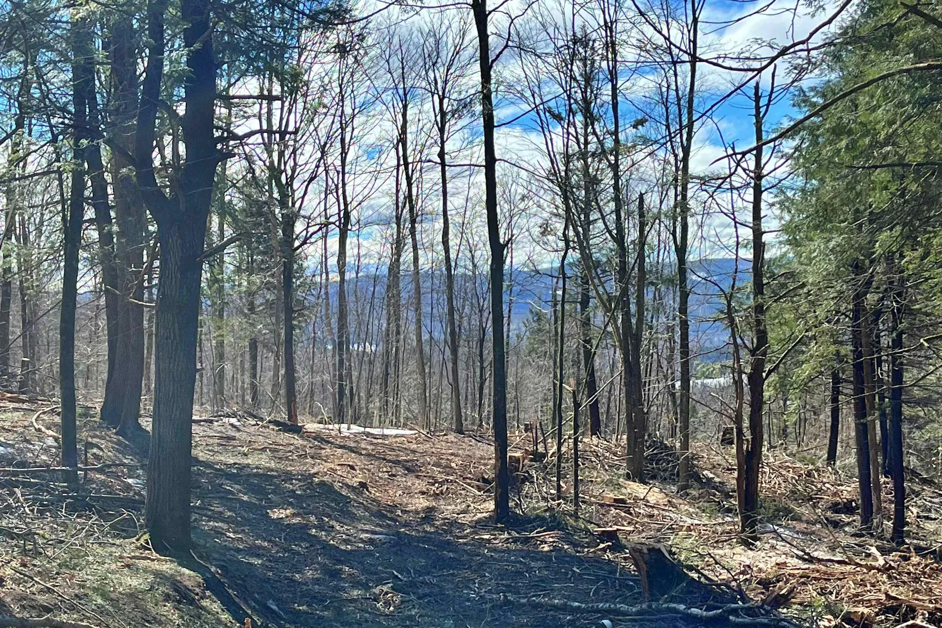 0 Crossroad Topsham VT 05076