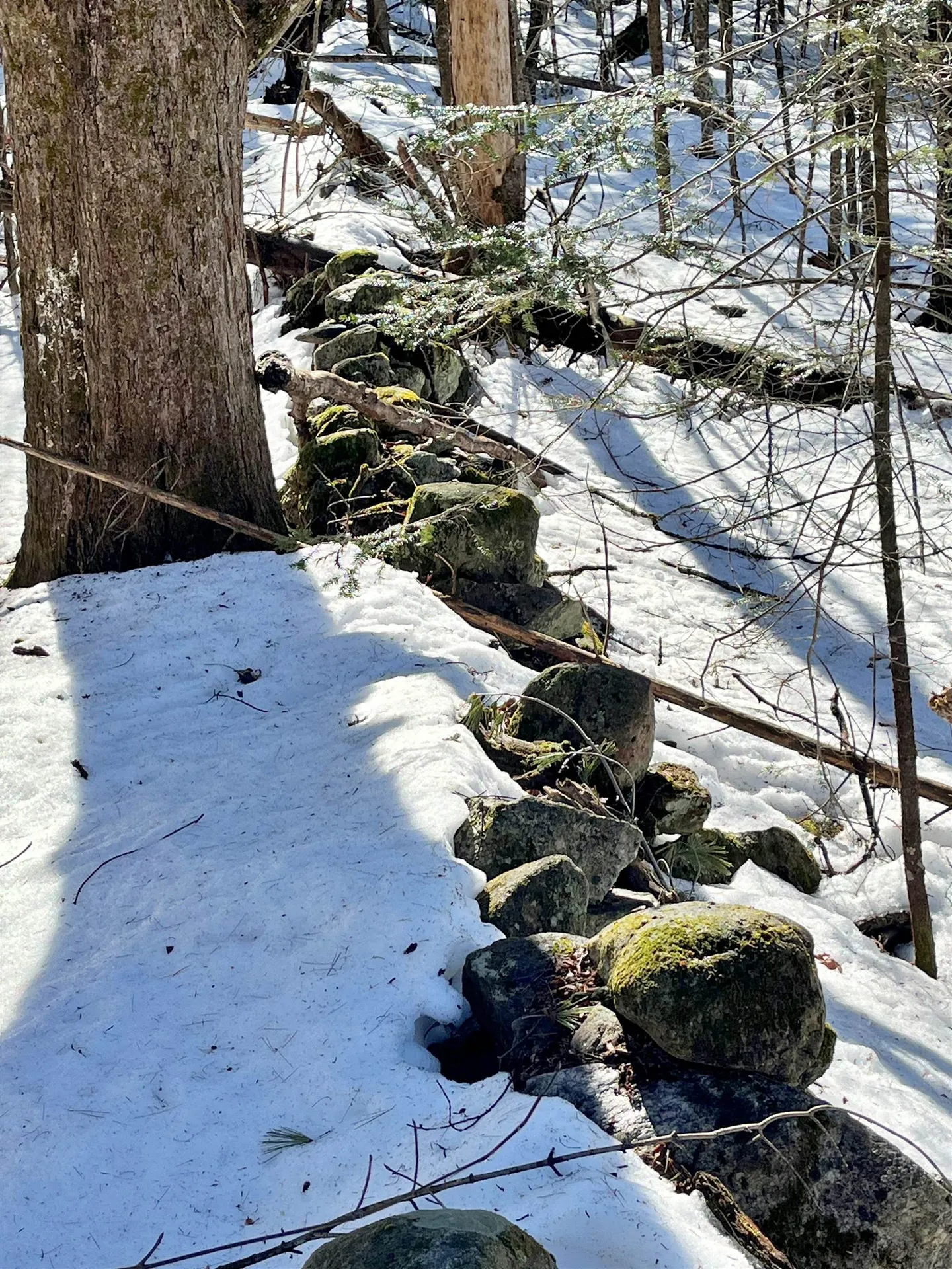 0 Crossroad Topsham VT 05076