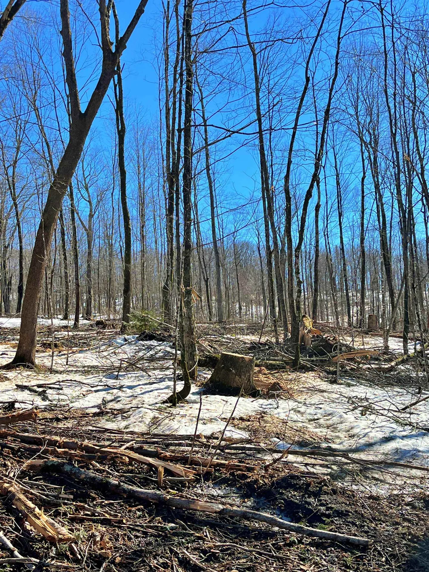 0 Crossroad Topsham VT 05076