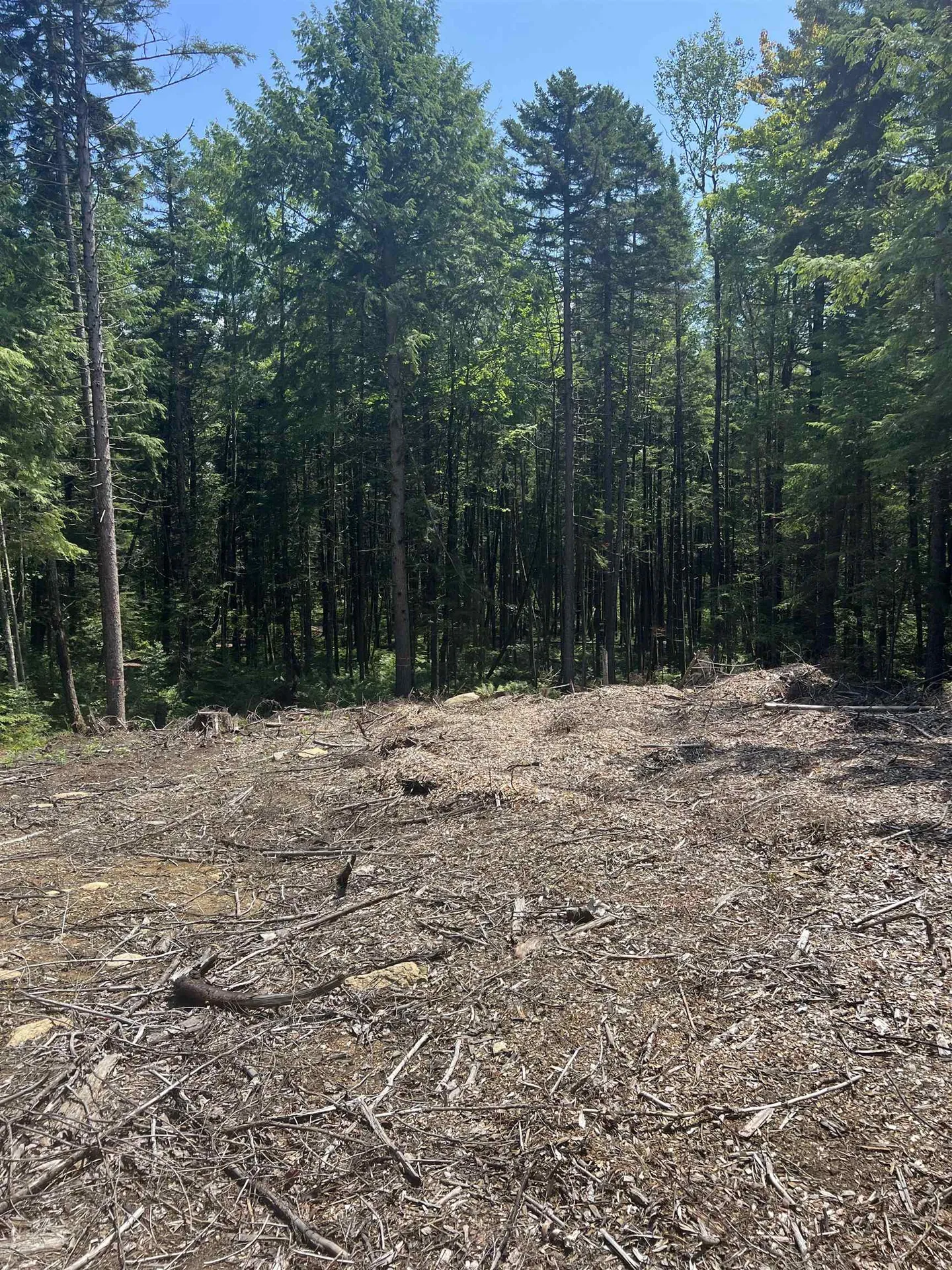 142 Mirror Lake Estates Drive Whitefield NH 03598