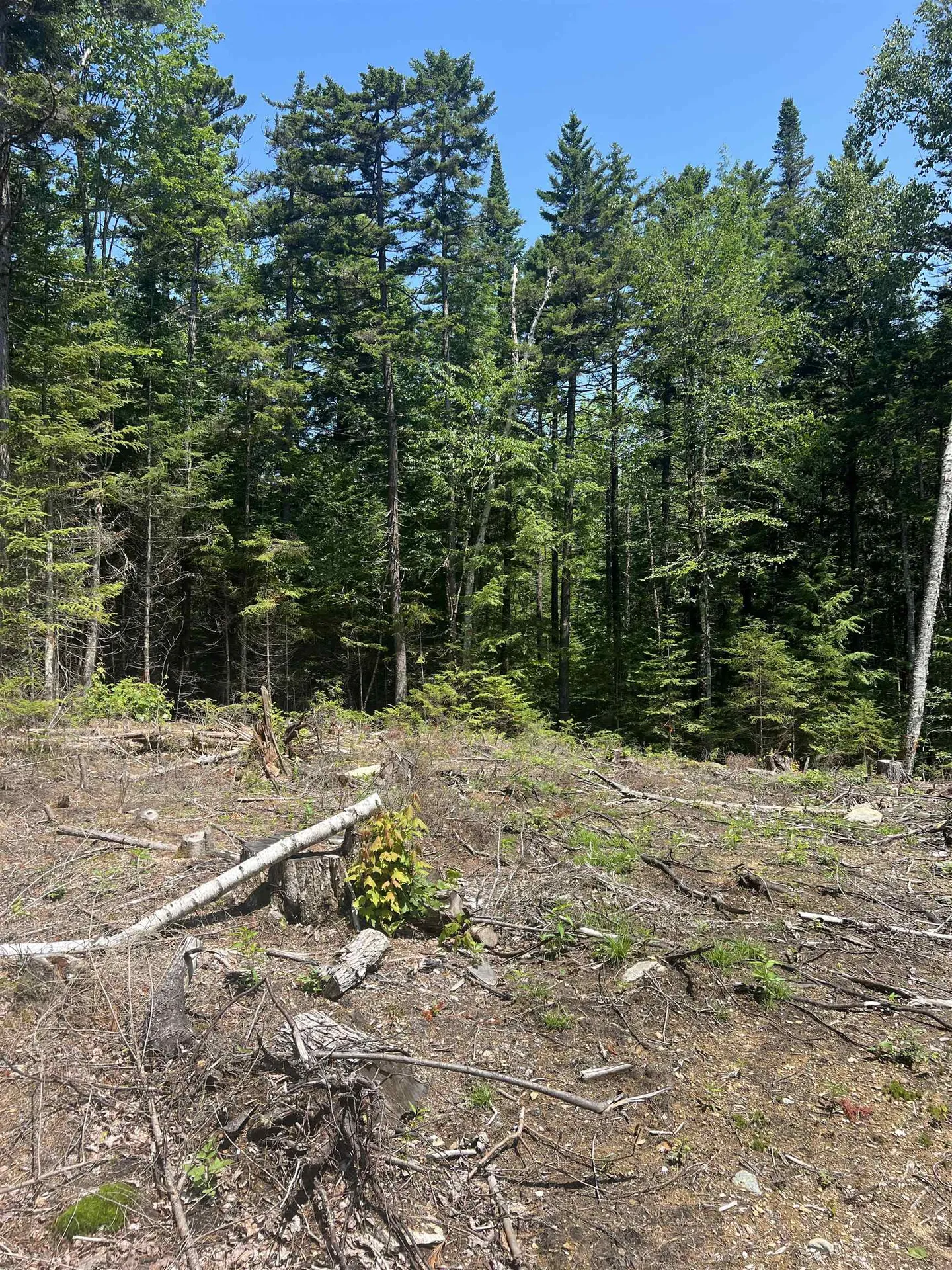 142 Mirror Lake Estates Drive Whitefield NH 03598