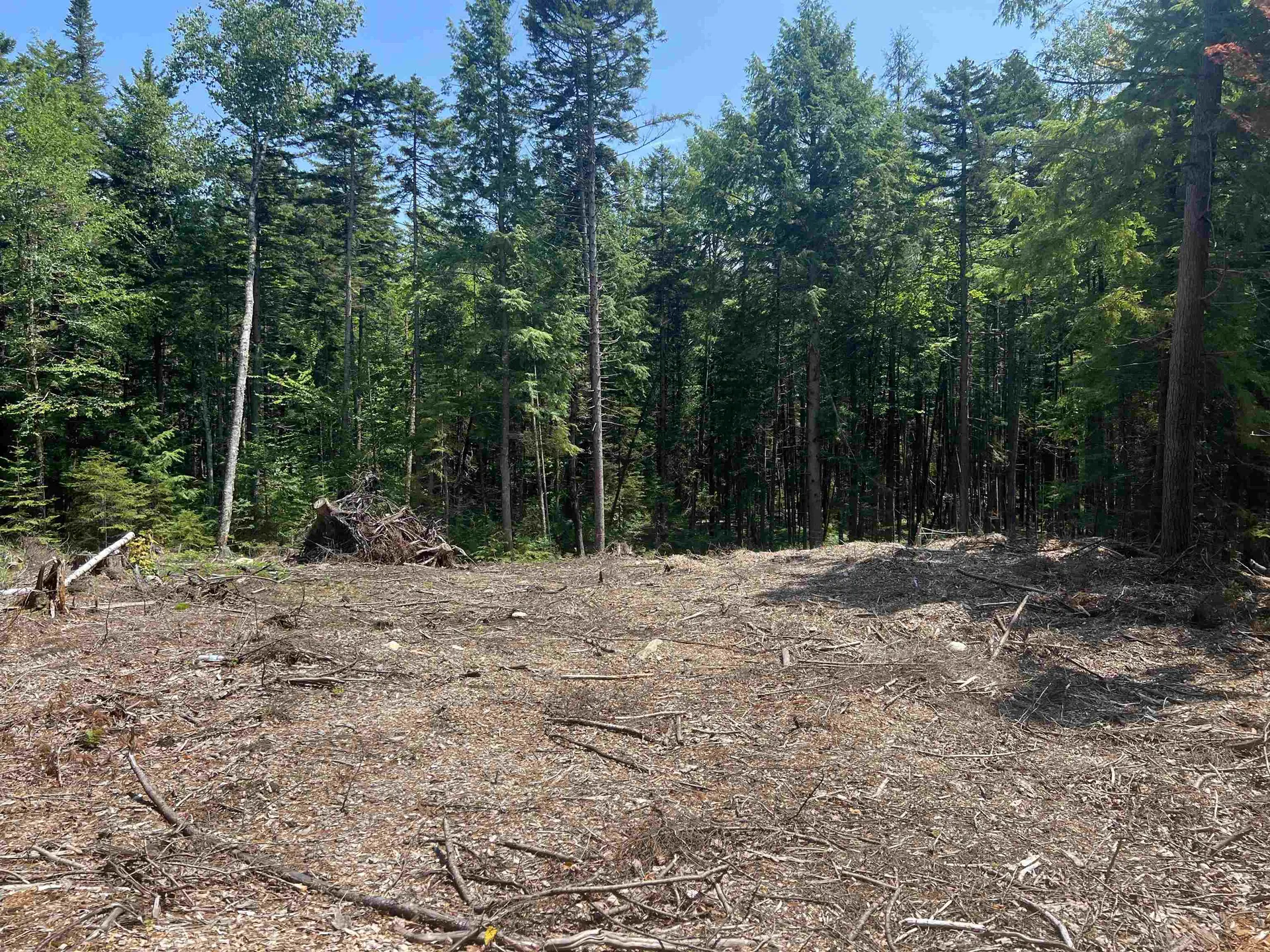 142 Mirror Lake Estates Drive Whitefield NH 03598