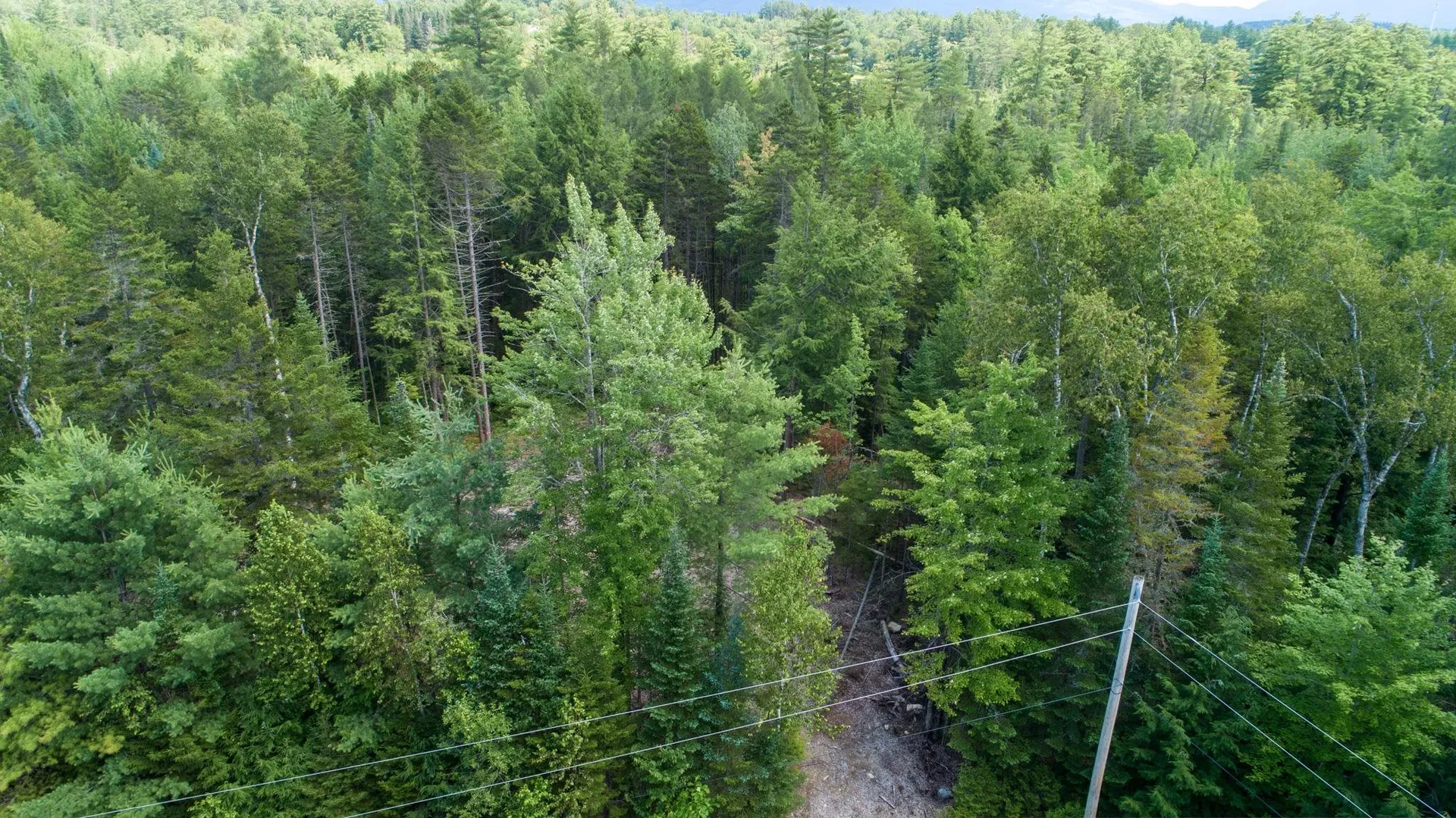 142 Mirror Lake Estates Drive Whitefield NH 03598