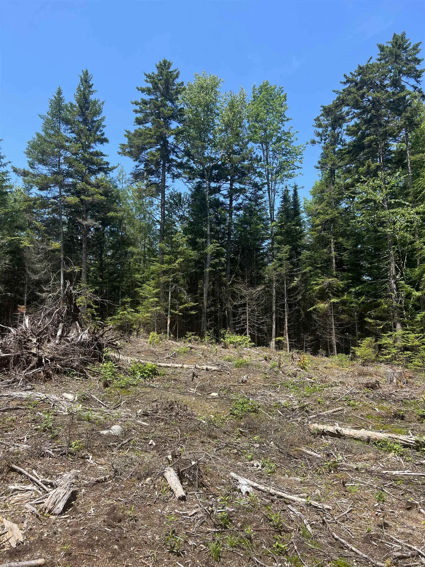 142 Mirror Lake Estates Drive Whitefield NH 03598