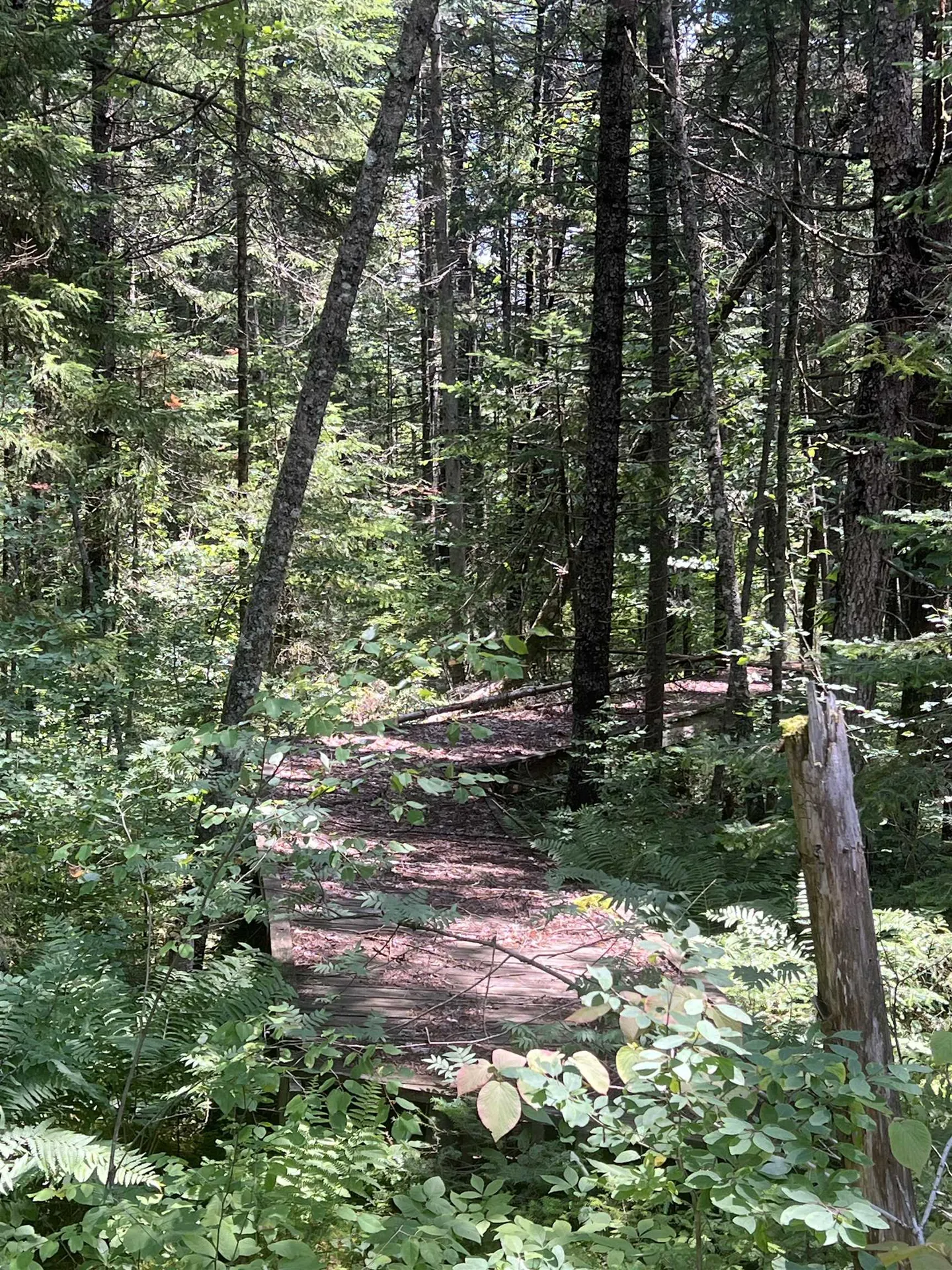 142 Mirror Lake Estates Drive Whitefield NH 03598