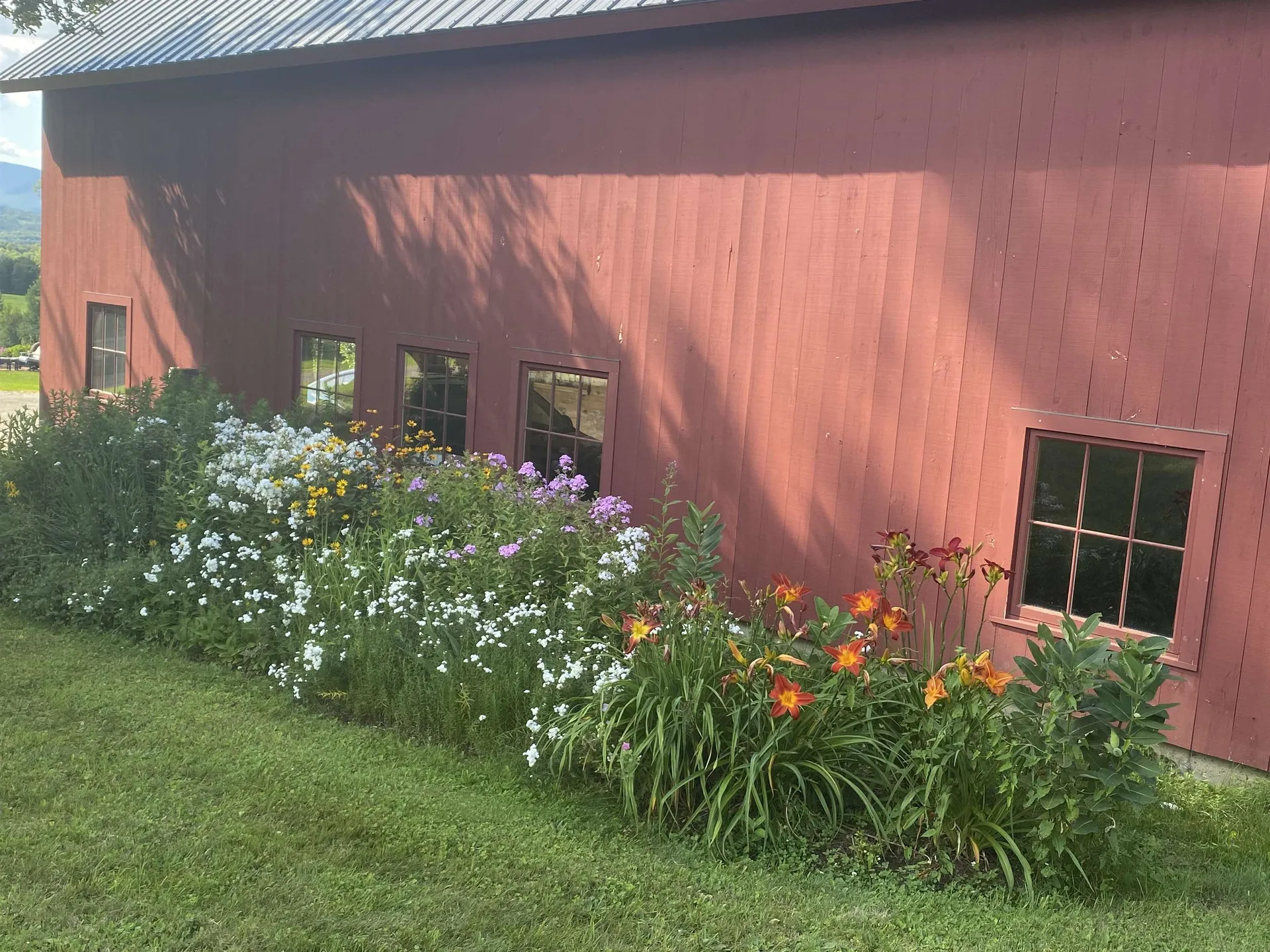 787 Bliss Hill Road Morristown VT 05661