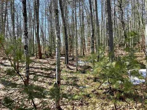 Lot 5 Middle Road Tuftonboro NH 03816