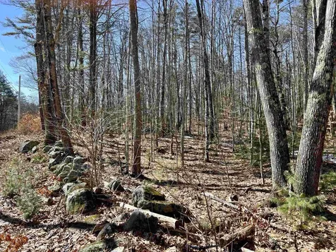 Lot 5 Middle Road Tuftonboro NH 03816