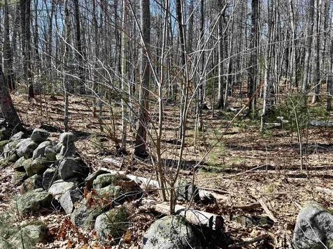 Lot 5 Middle Road Tuftonboro NH 03816