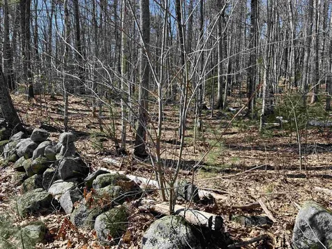 Lot 5 Middle Road Tuftonboro NH 03816