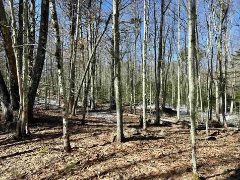 Lot 5 Middle Road Tuftonboro NH 03816