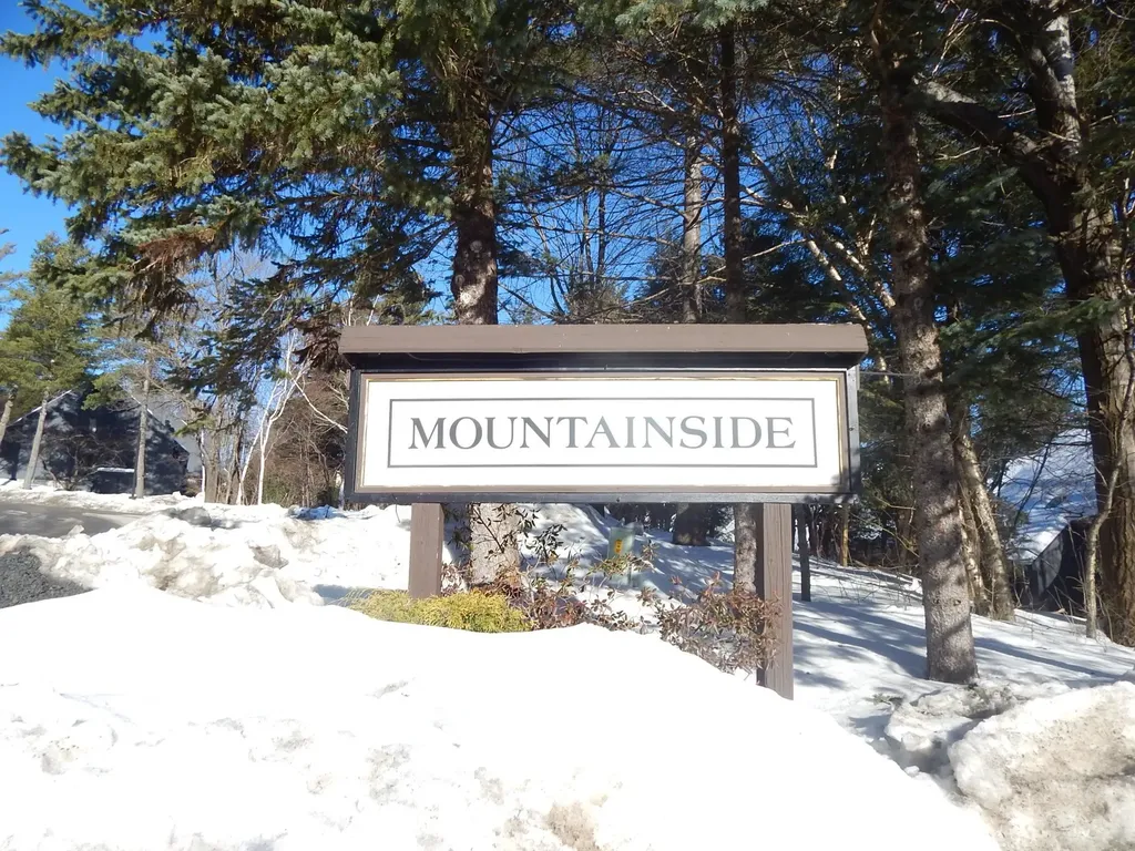 205 Mountainside Drive Warren VT 05674