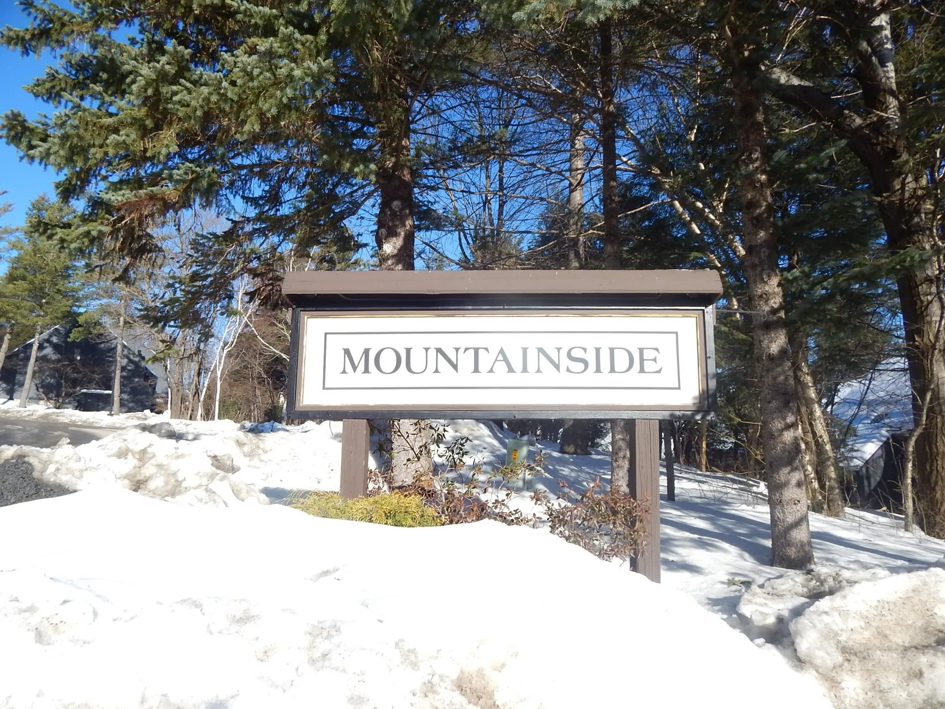 205 Mountainside Drive Warren VT 05674