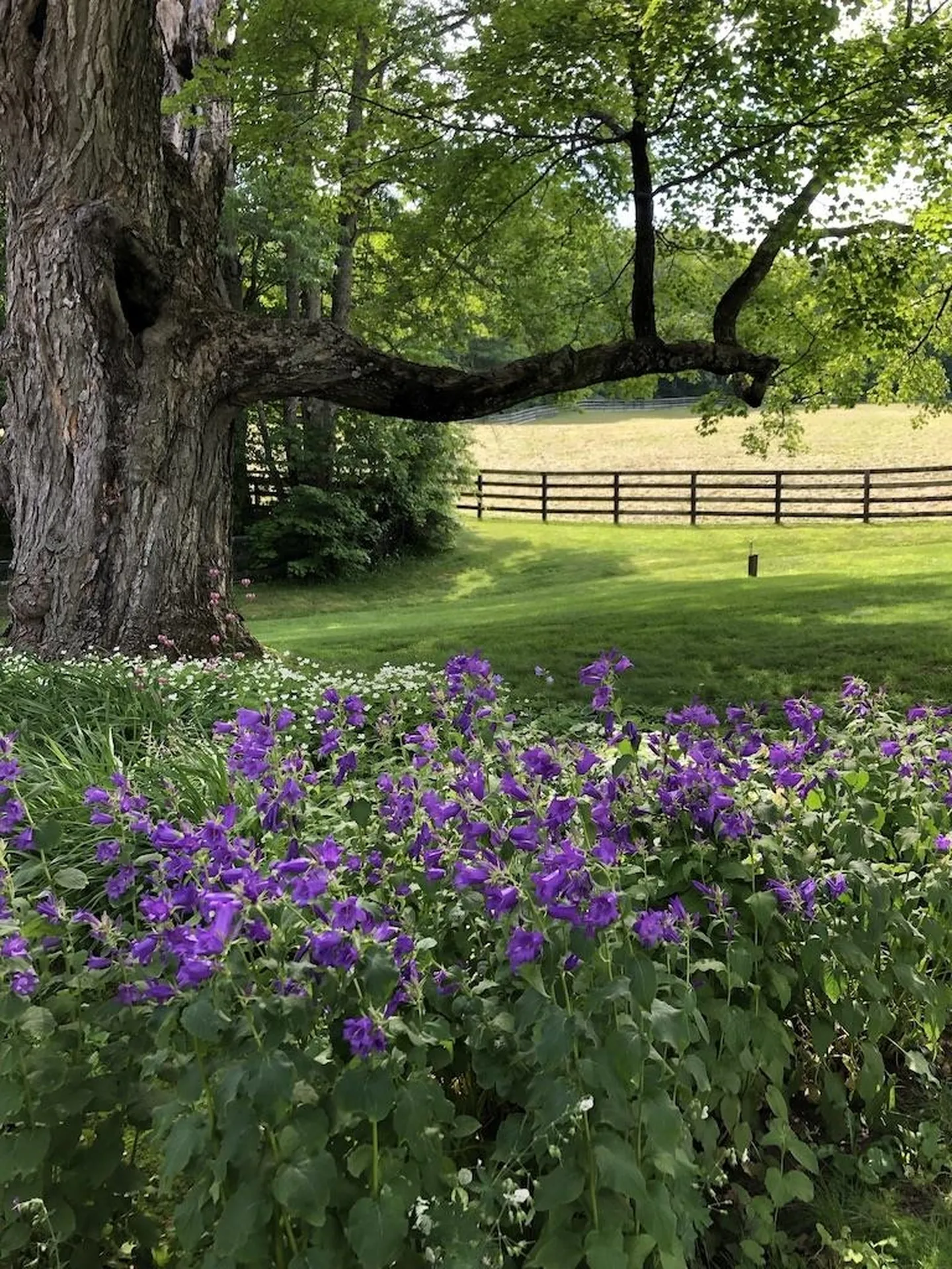 486 Benedict Road Woodstock VT 05071