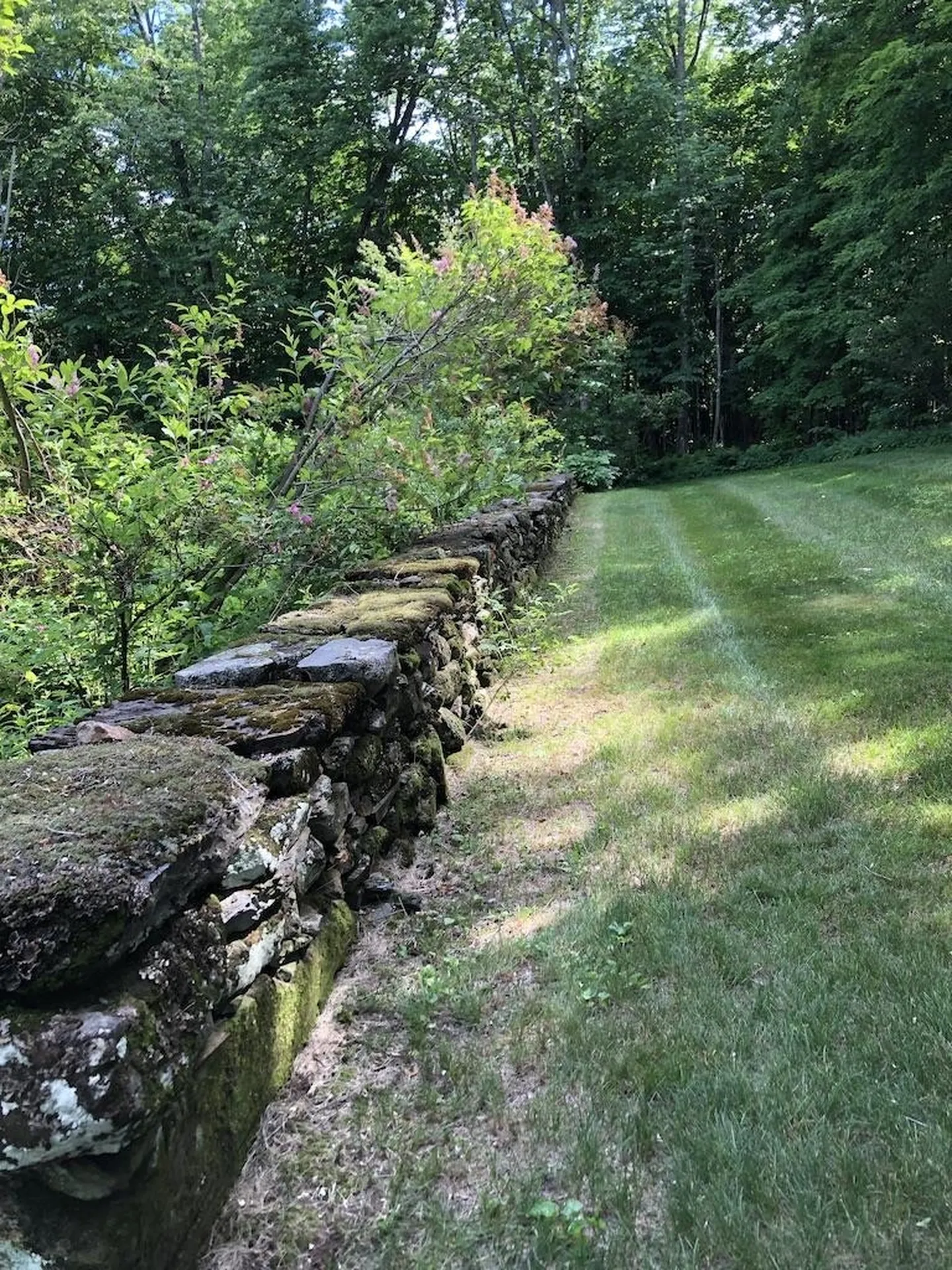 486 Benedict Road Woodstock VT 05071