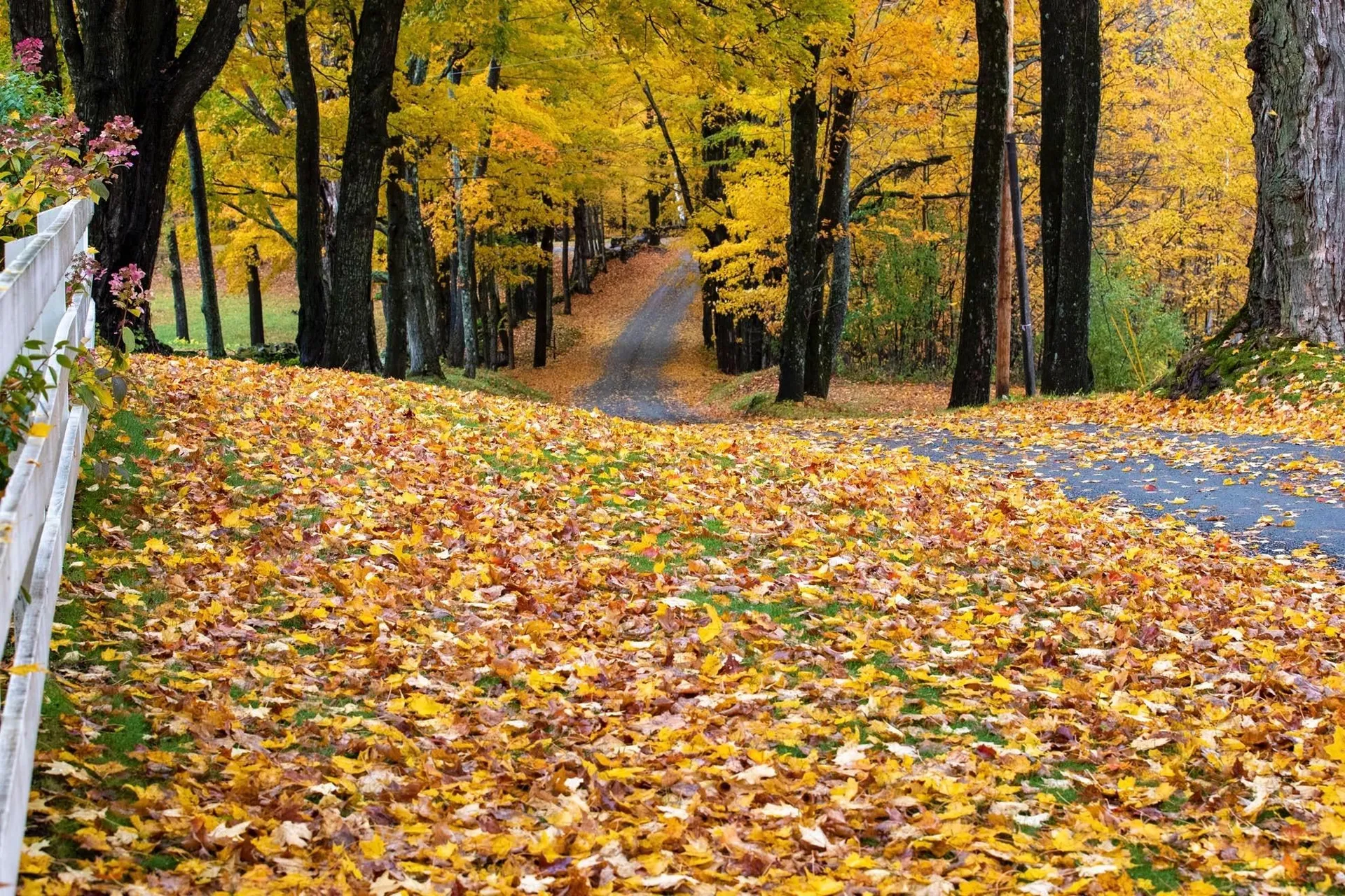 486 Benedict Road Woodstock VT 05071