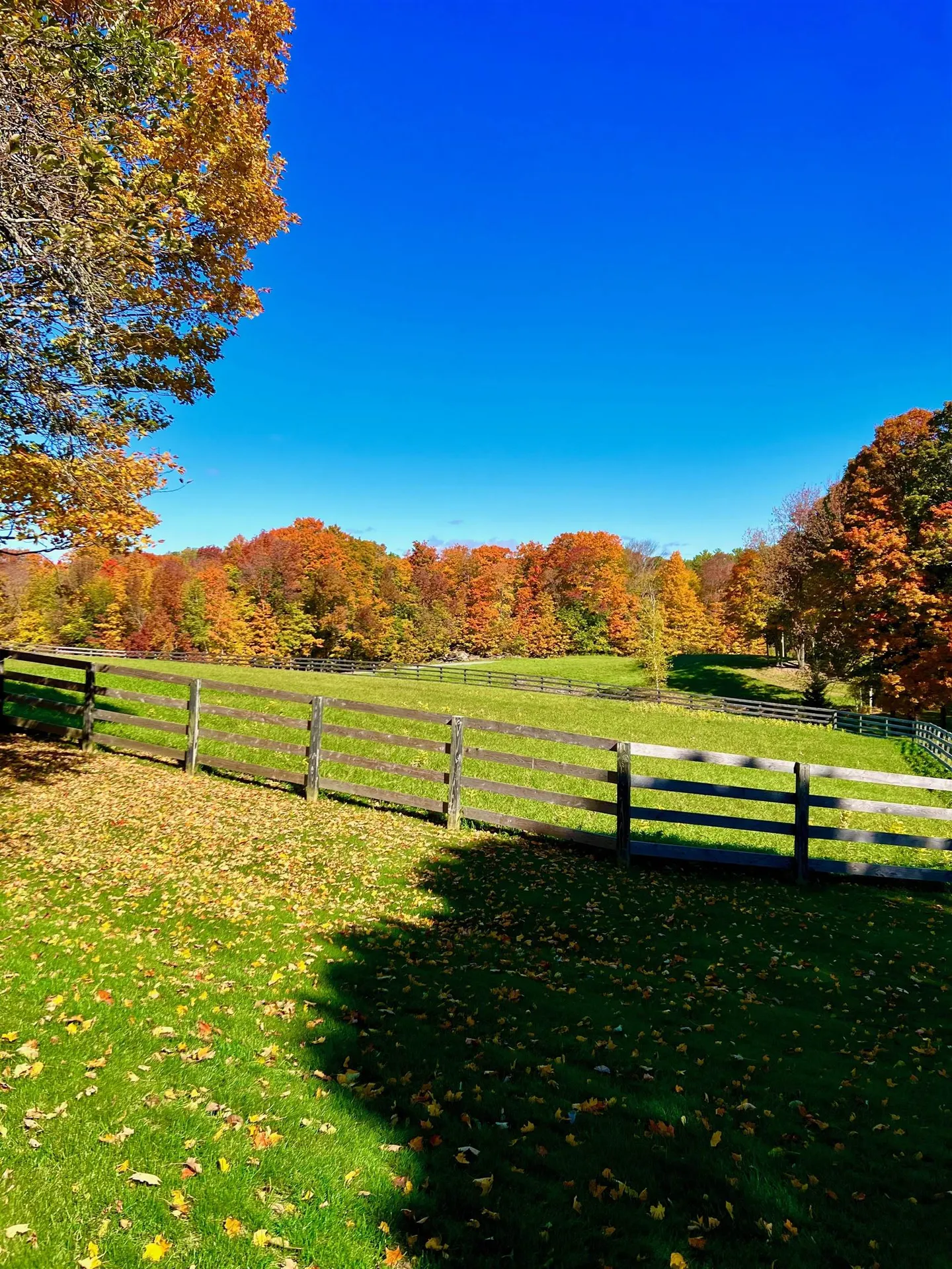 486 Benedict Road Woodstock VT 05071