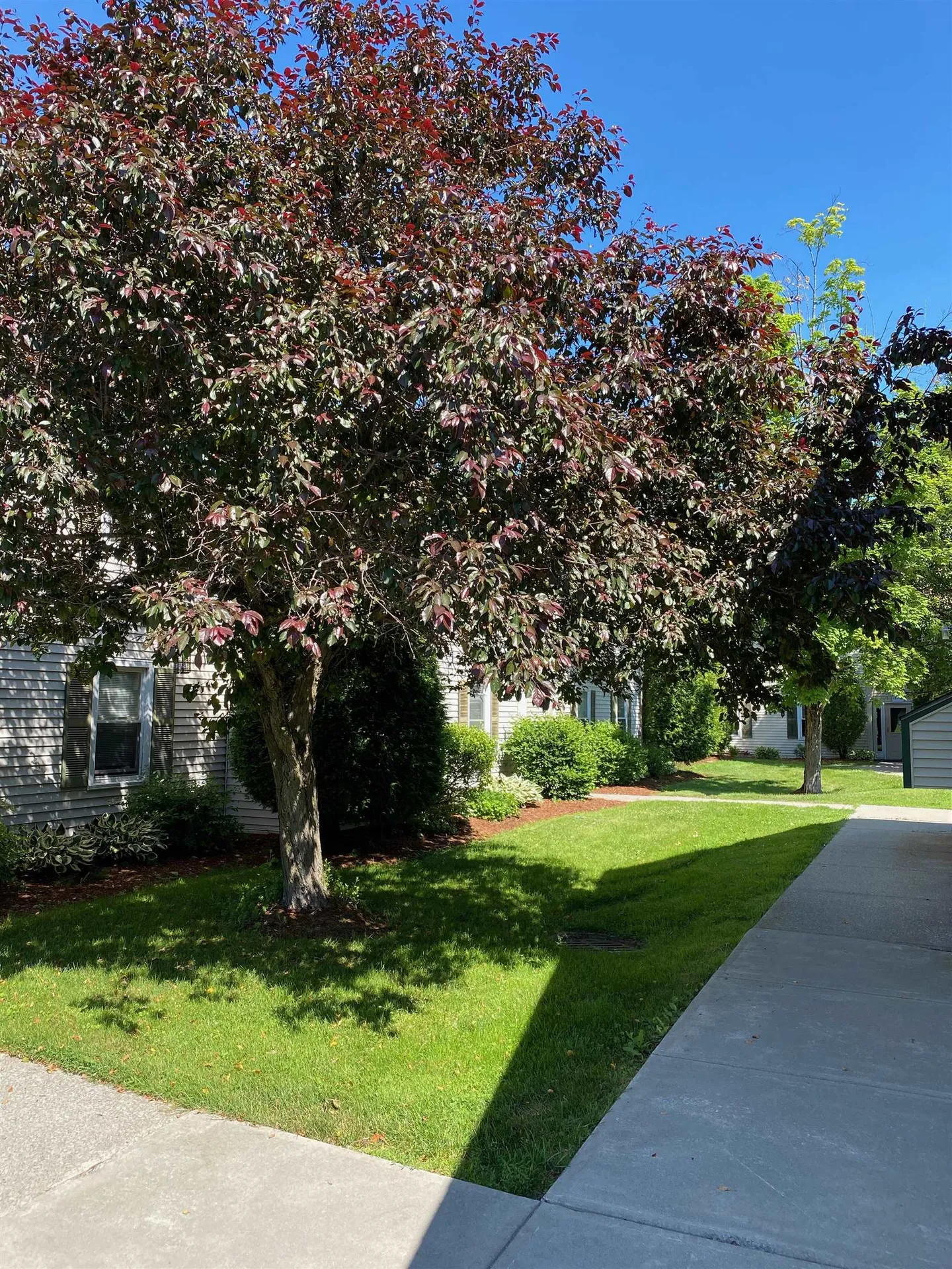 5 Saybrook Road Essex VT 05452