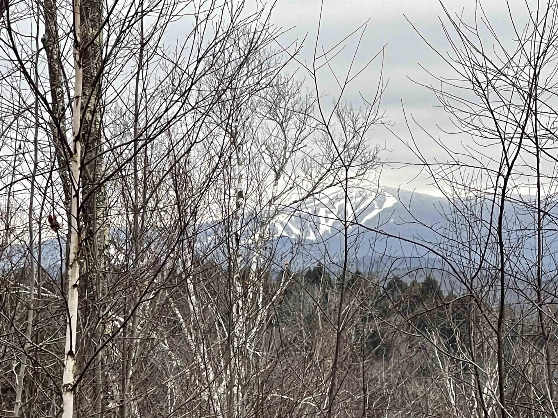 000 Rose Lane Londonderry VT 05148