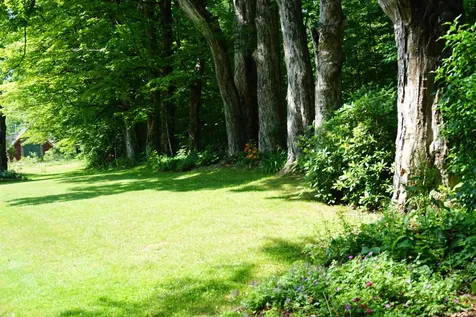 5 Gilby Lane Canaan NH 03741