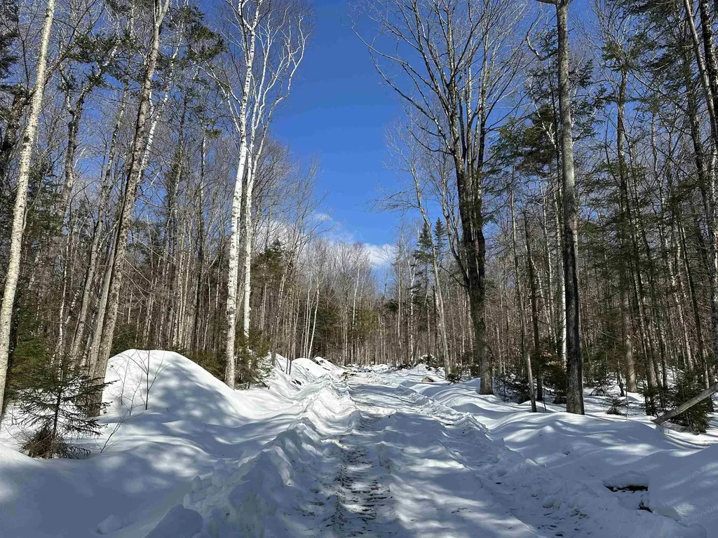 360 Dorman Road Andover VT 05143