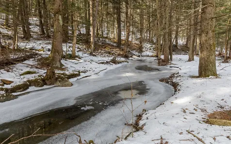 94 Thayer Brook Road Alstead NH 03602