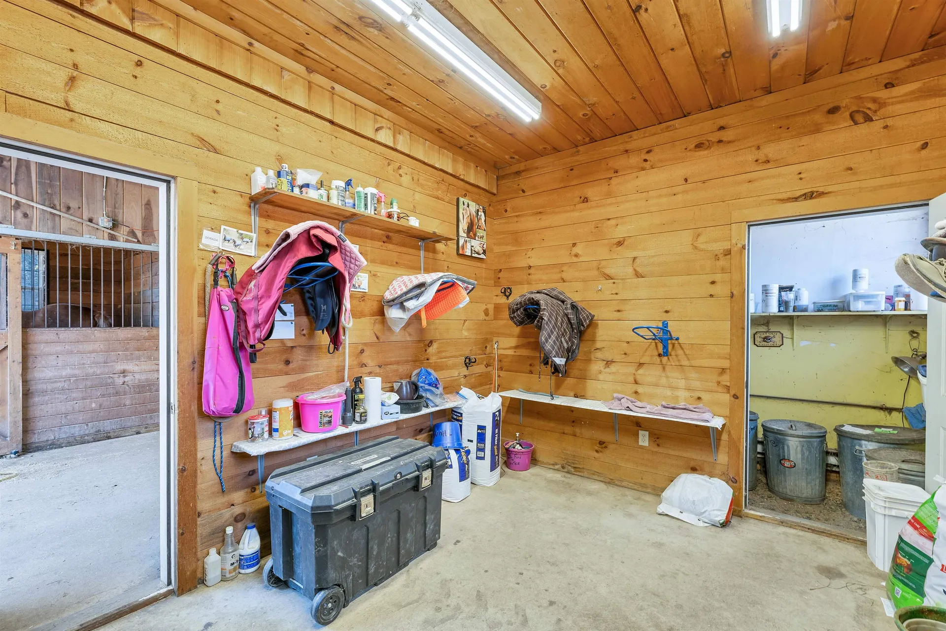 203 Kingston Road Danville NH 03819