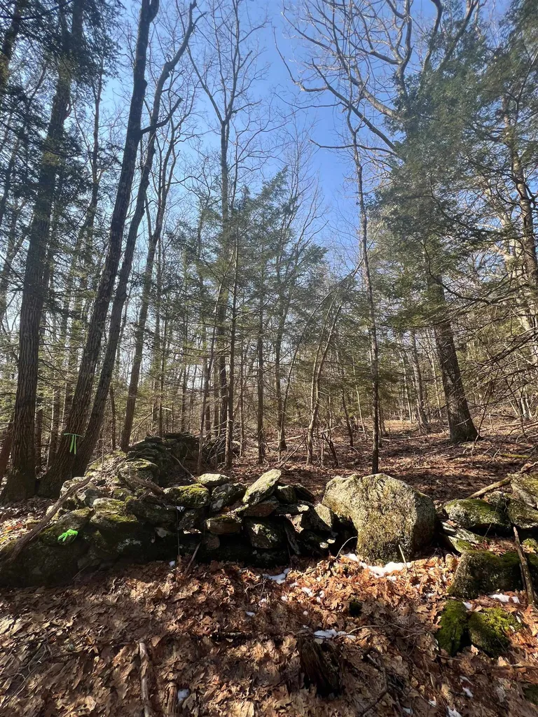 Off Middletown Road Roxbury NH 03431