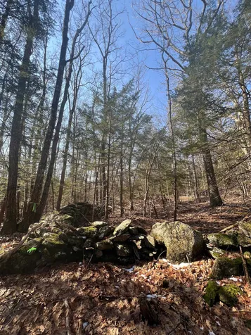 Off Middletown Road Roxbury NH 03431