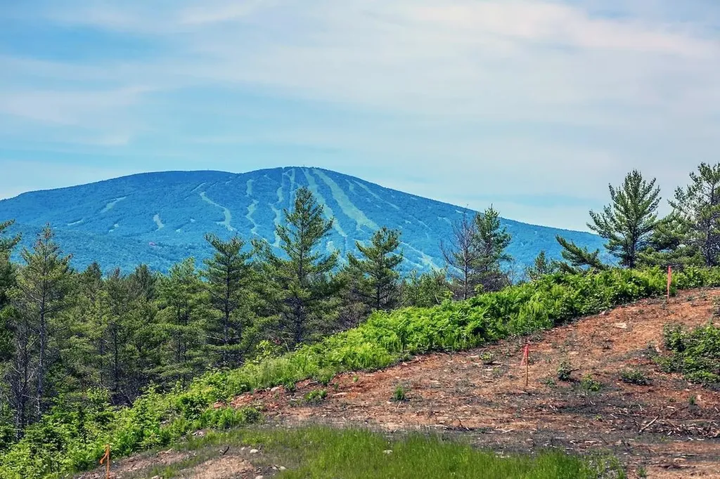 4935 Vt Route 11 East Londonderry VT 05148