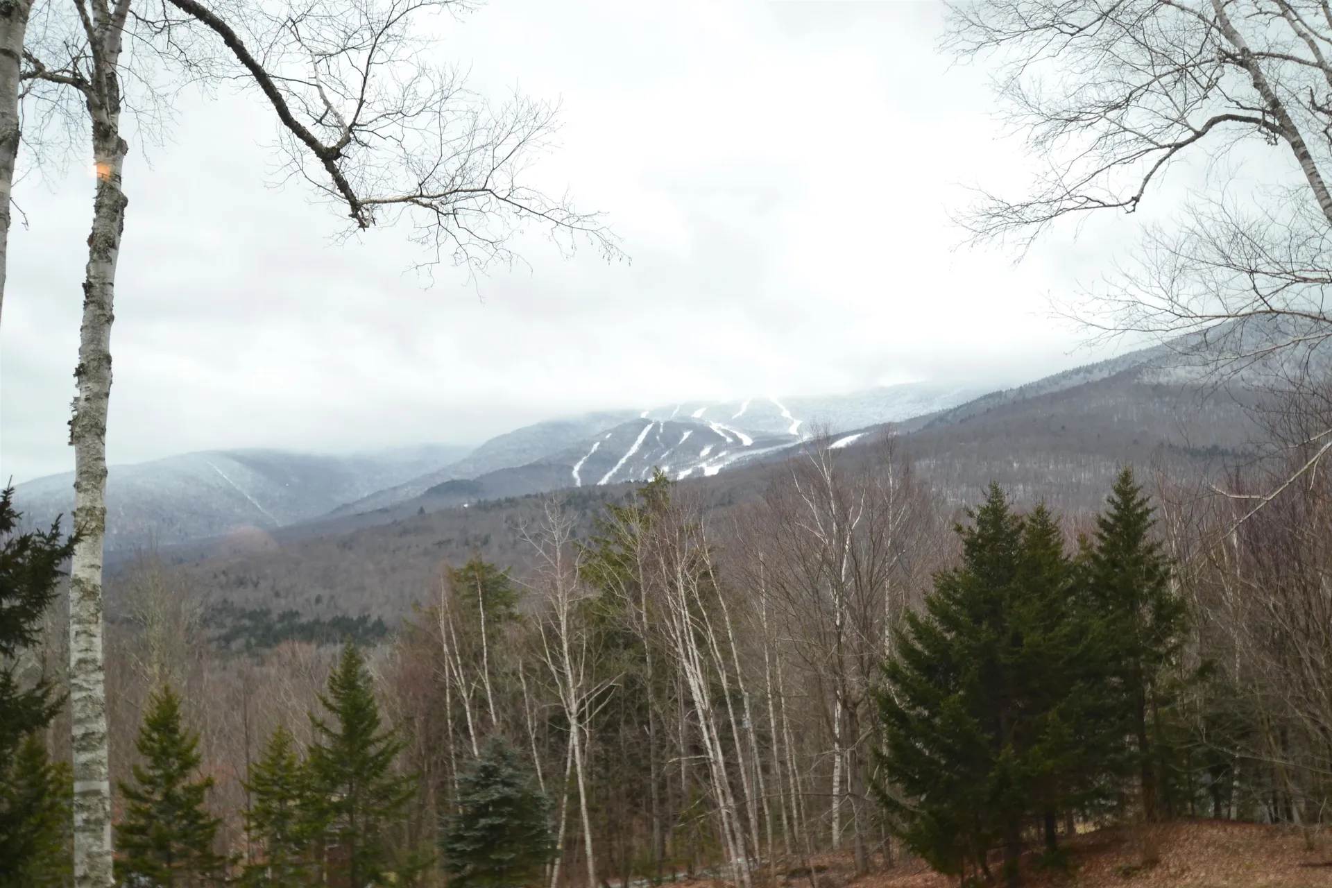 62 Wild Turkey Lane Fayston VT 05673