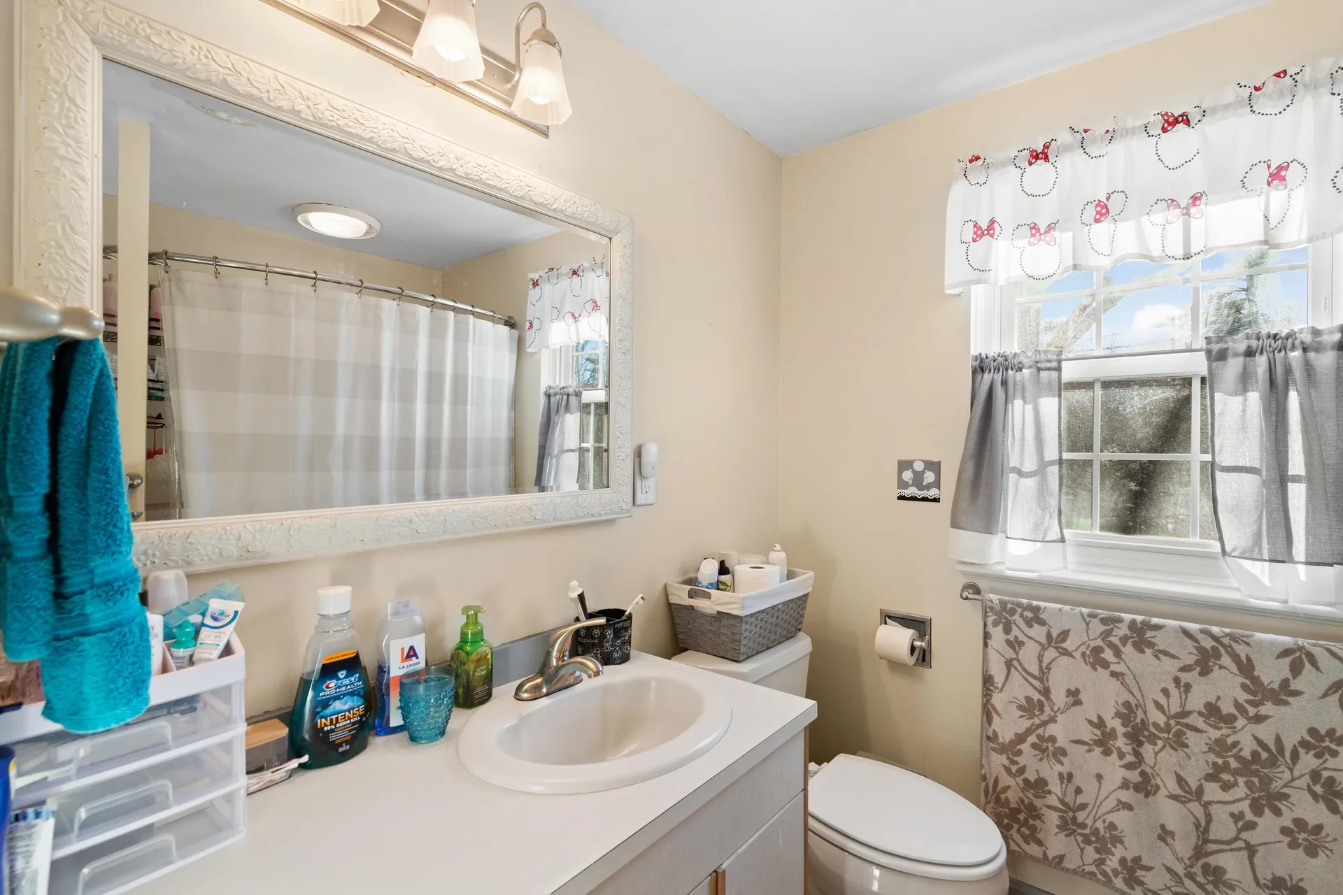 3 Arabian Court Goffstown NH 03045