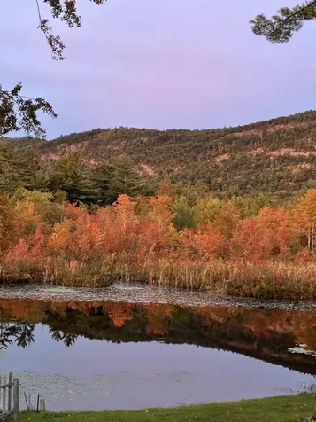 76 Quinn Cove Road Wells VT 05774