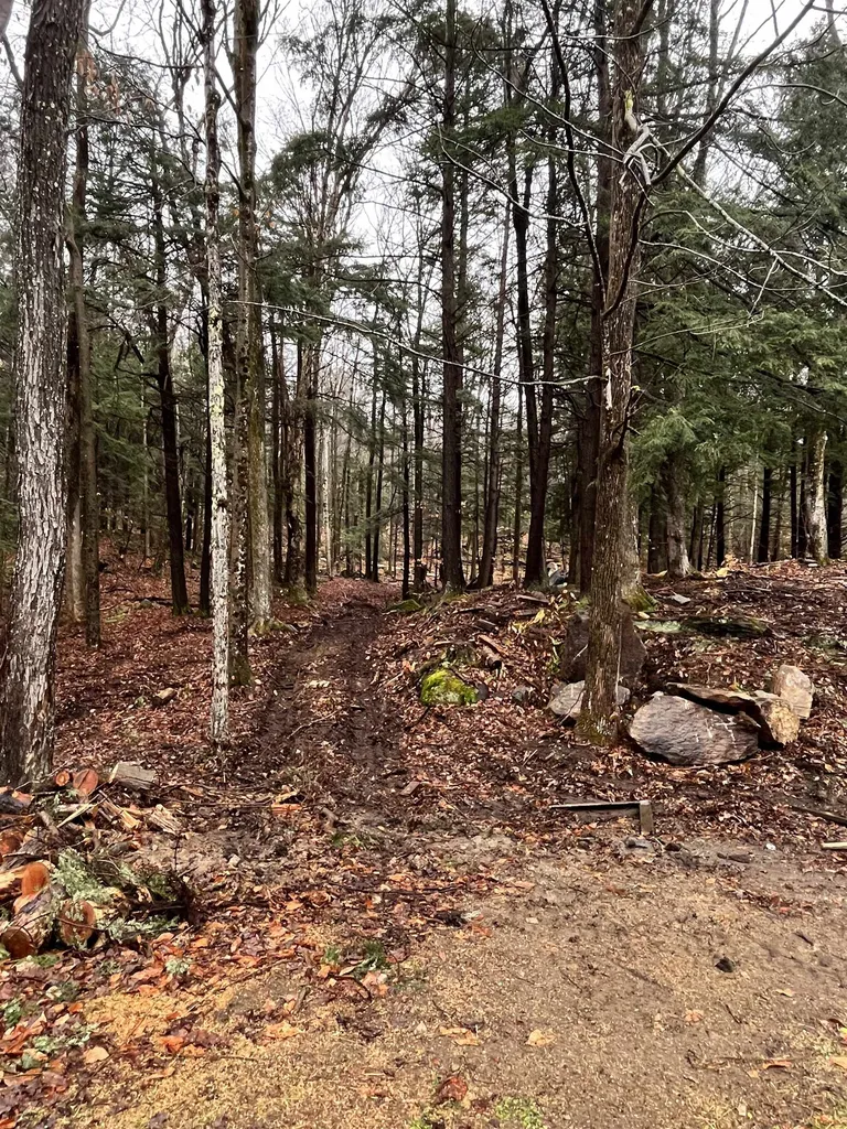 74 Silver Springs Drive Lempster NH 03605
