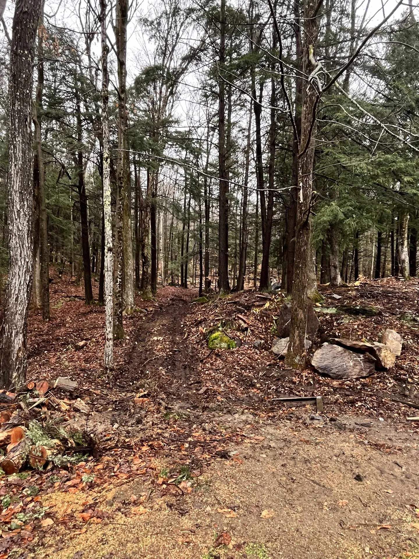 74 Silver Springs Drive Lempster NH 03605