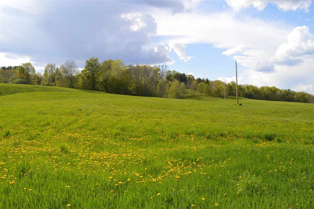 00a Thurston Hollow Corinth VT 05039