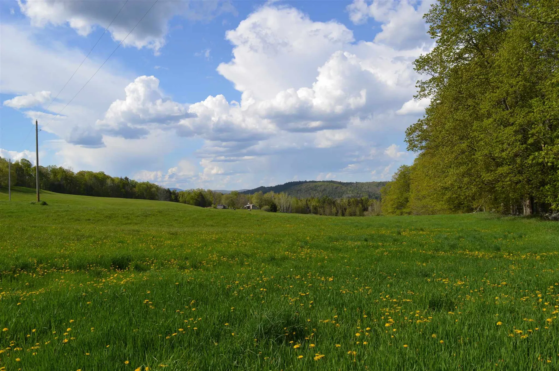 00a Thurston Hollow Corinth VT 05039