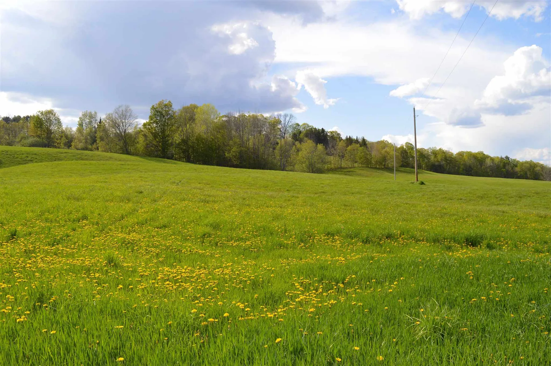 00a Thurston Hollow Corinth VT 05039