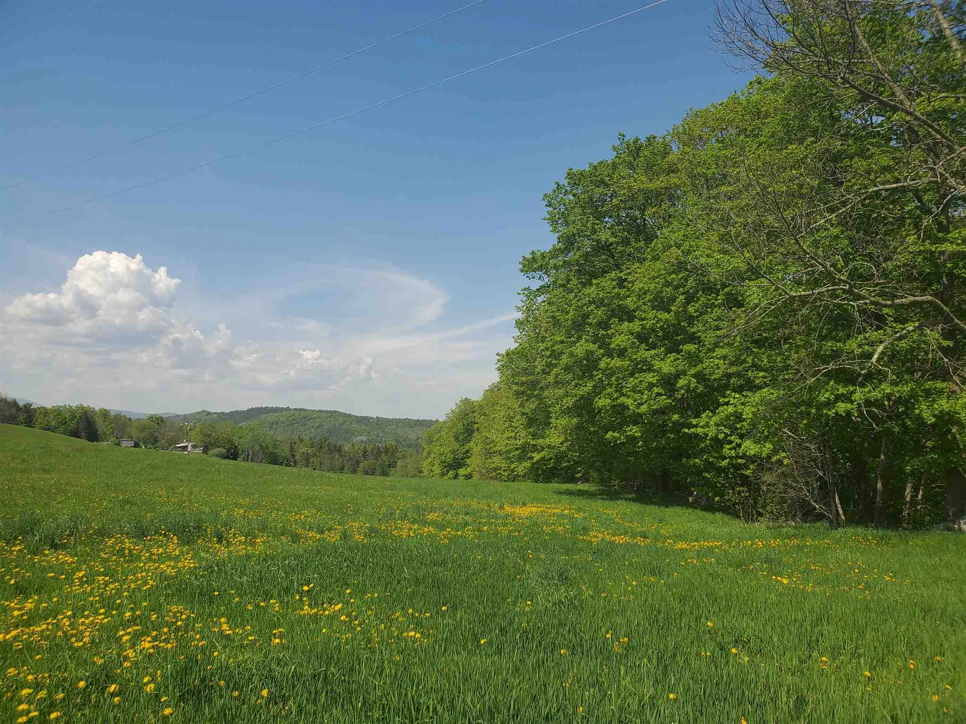 00a Thurston Hollow Corinth VT 05039